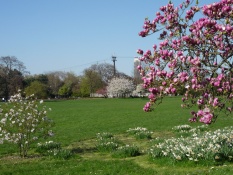 Rheinpark mit Seilbahn und Axa-Hochhaus